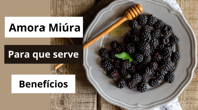 Amora Mi&uacute;ra para que serve e beneficios